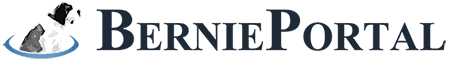 Bernie portal logo
