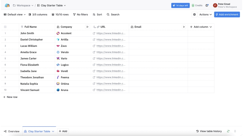 Custom workflows automated by Clay AI