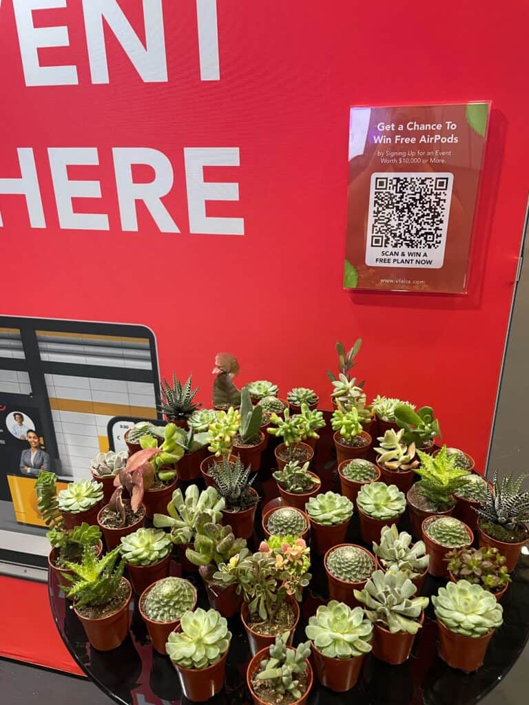 Succulents for giveaway at Event Tech Live, London