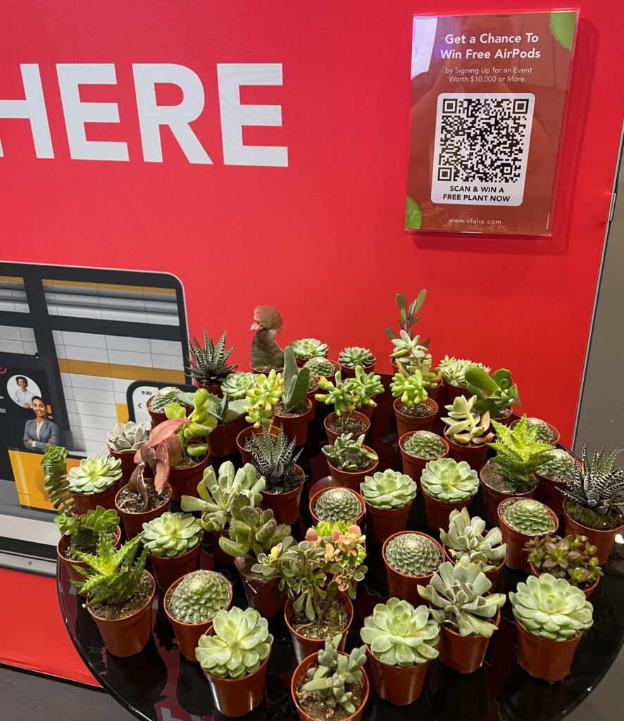 Succulents for giveaway at Event Tech Live, London