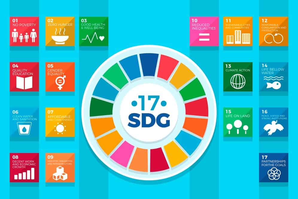 flat design sdg infographic 23 2149391464